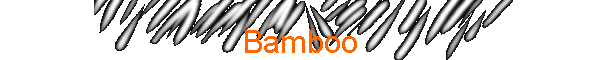 Bamboo